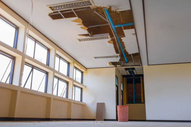 Best Water damage contractors near me  in Ithaca, MI