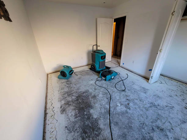 Best Carpet water damage restoration  in Ithaca, MI