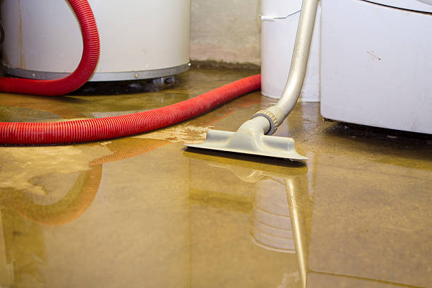 Best Water damage restoration near me  in Ithaca, MI