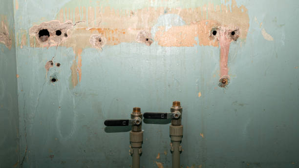 Best Flood restoration services  in Ithaca, MI